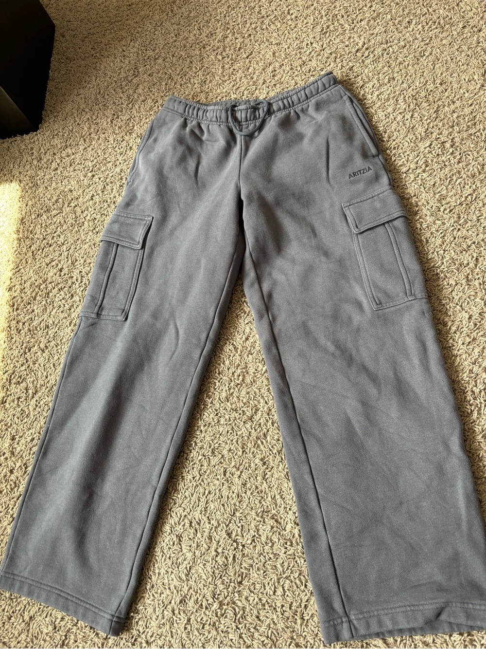 ARITZIA Women’s Gray Cargo Sweatpants